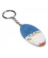 Keyring with magnifier and light