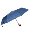 Automatic foldable umbrella