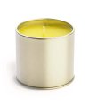 Candle in tin box Candle in tin box