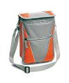 Cooler bag with shoulder strap