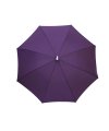 Automatic stick umbrella "Rumba…