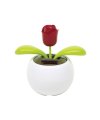 Solar flower "Waving rose" Solar flower "Waving rose"