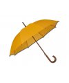 umbrella umbrella