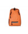 skate bag skate bag