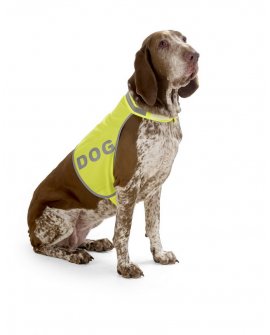 Safety jacket for dog, reflective ribbon Safety jacket for dog, reflective ribbon
