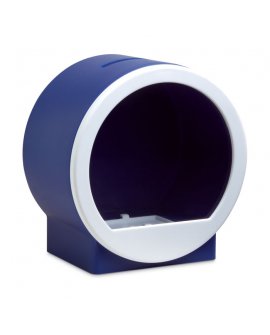 Transparent coin bank