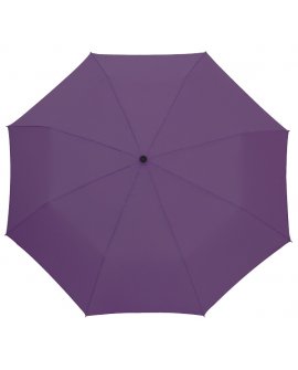 Automatic pocket umbrella "Cove…