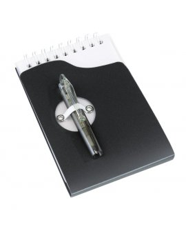Notebook "Script" includes a co…
