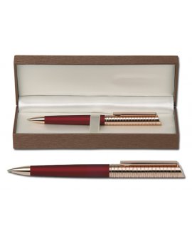 ball pen with case
