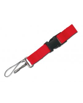 lanyard lanyard